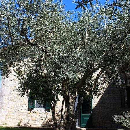 Appartamento Le Tre Palme Frigintini Εξωτερικό φωτογραφία