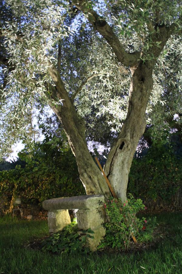 Appartamento Le Tre Palme Frigintini Εξωτερικό φωτογραφία